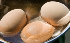 eggs